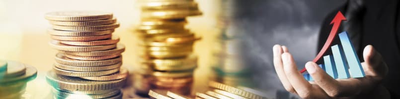 Law Firm Productivity